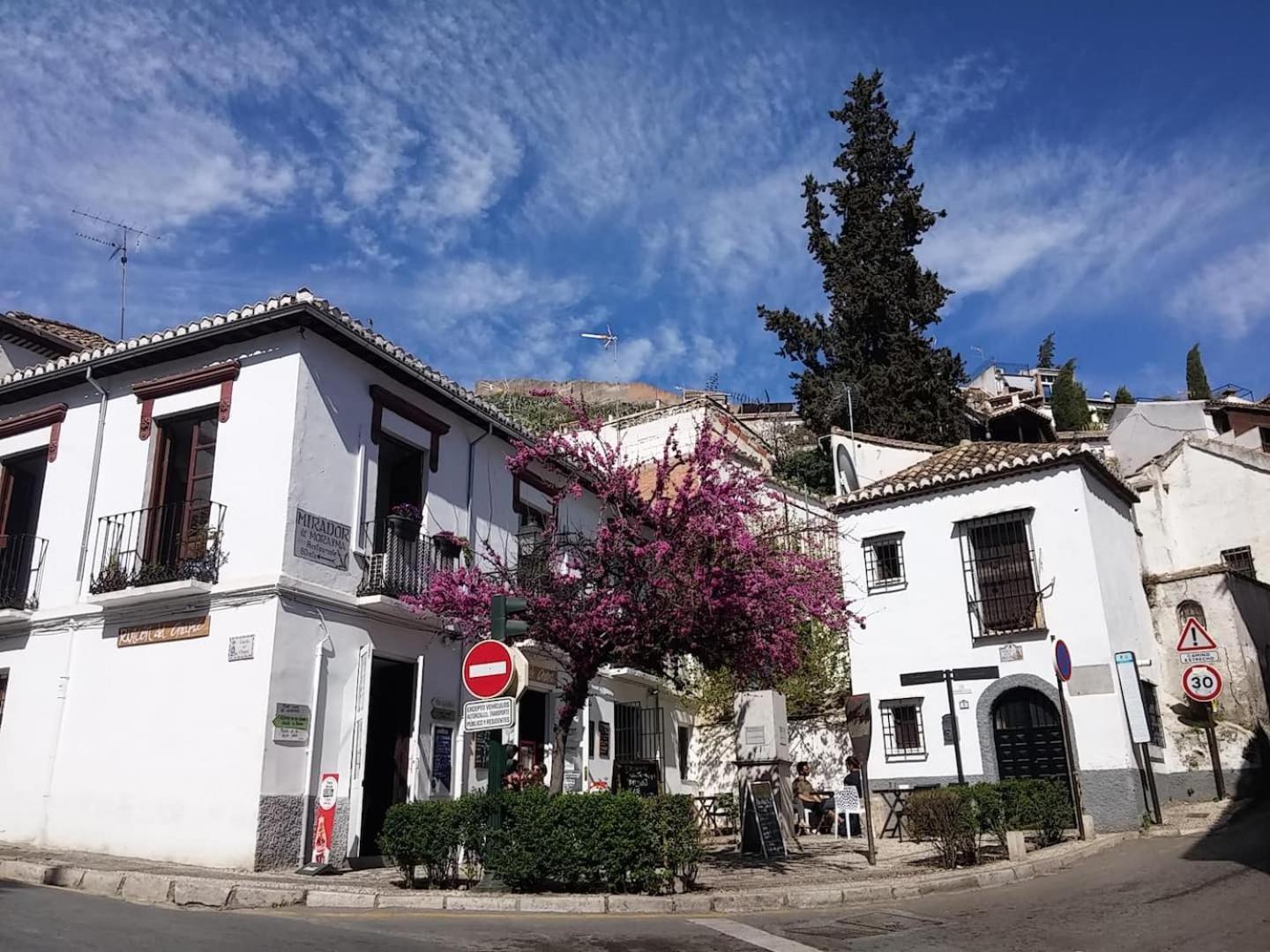 Charming Albaicin Patio Flat Free Onsite Parking Apartman Granada Kültér fotó