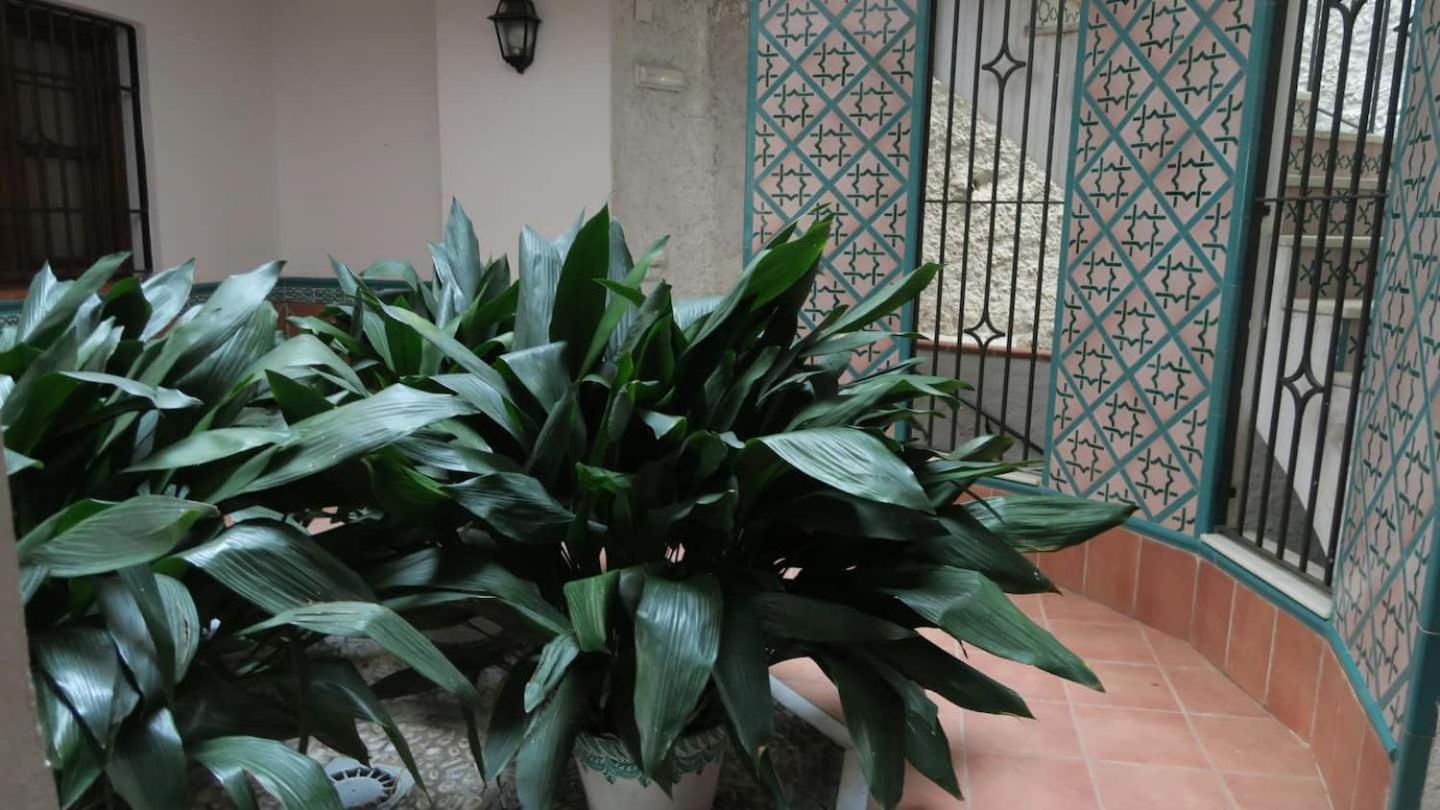 Charming Albaicin Patio Flat Free Onsite Parking Apartman Granada Kültér fotó