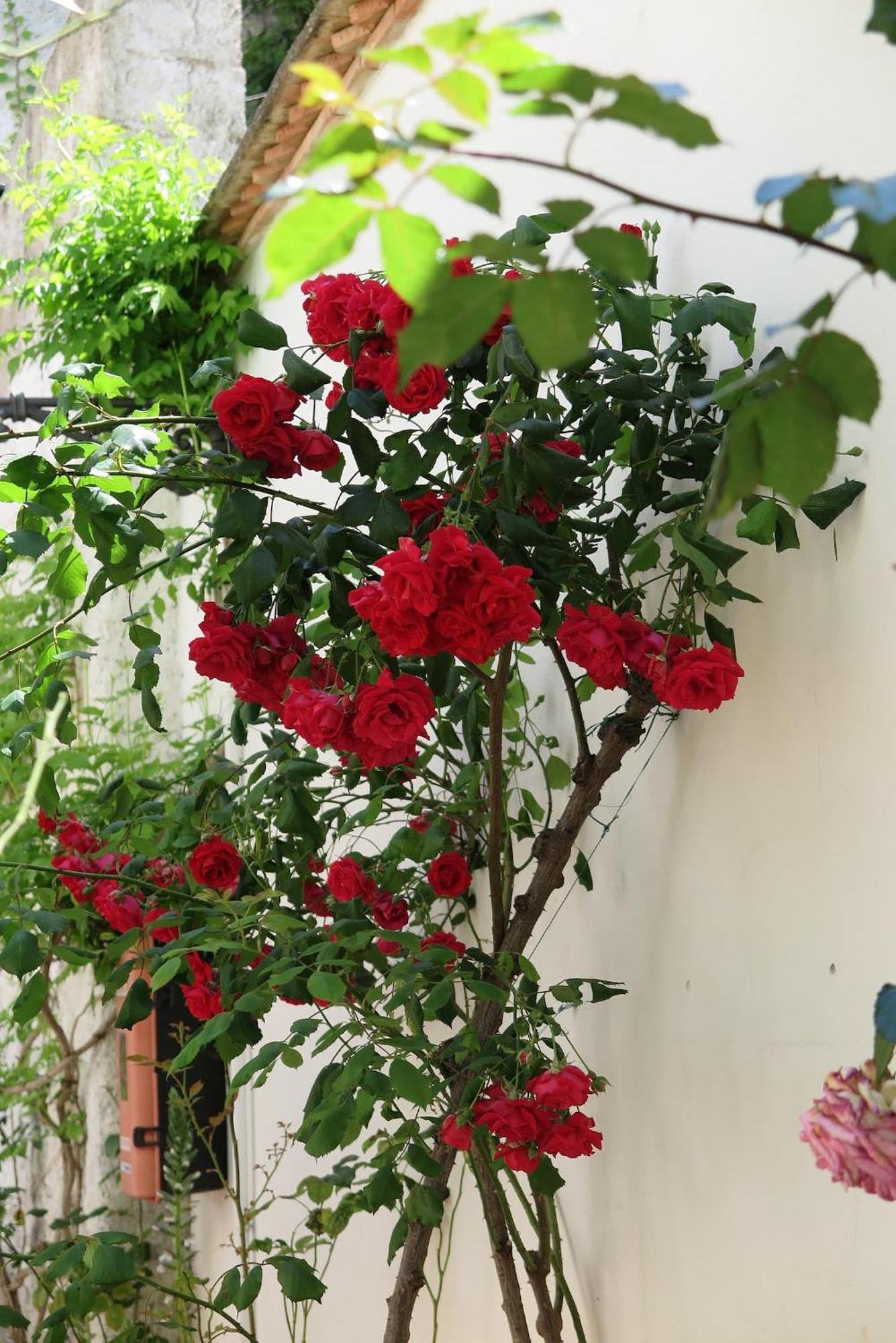 Charming Albaicin Patio Flat Free Onsite Parking Apartman Granada Kültér fotó