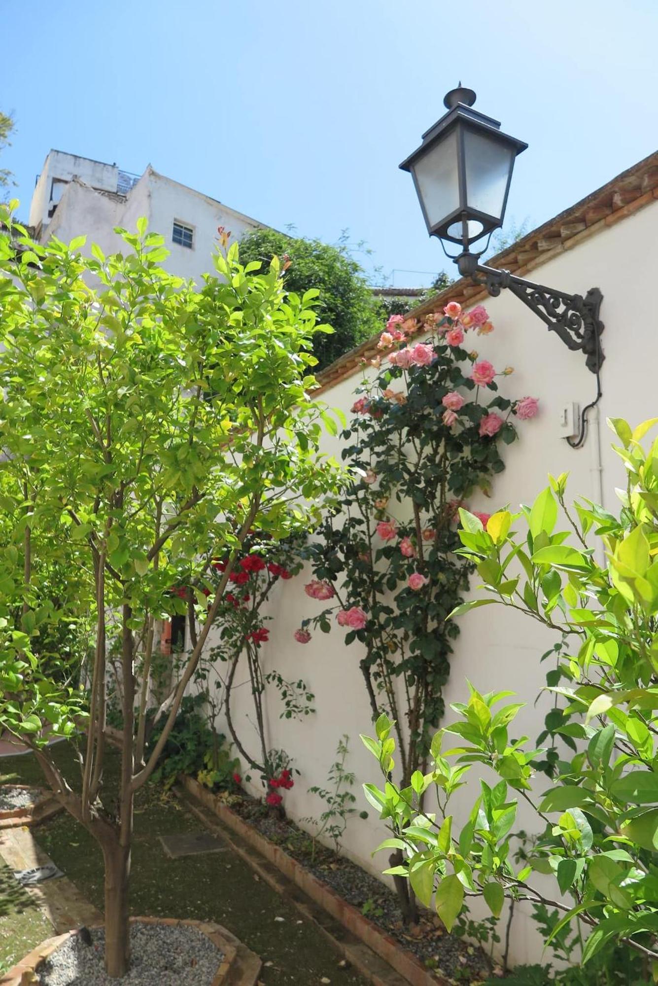 Charming Albaicin Patio Flat Free Onsite Parking Apartman Granada Kültér fotó